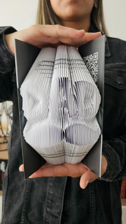 Libro de Book Folding - DAD