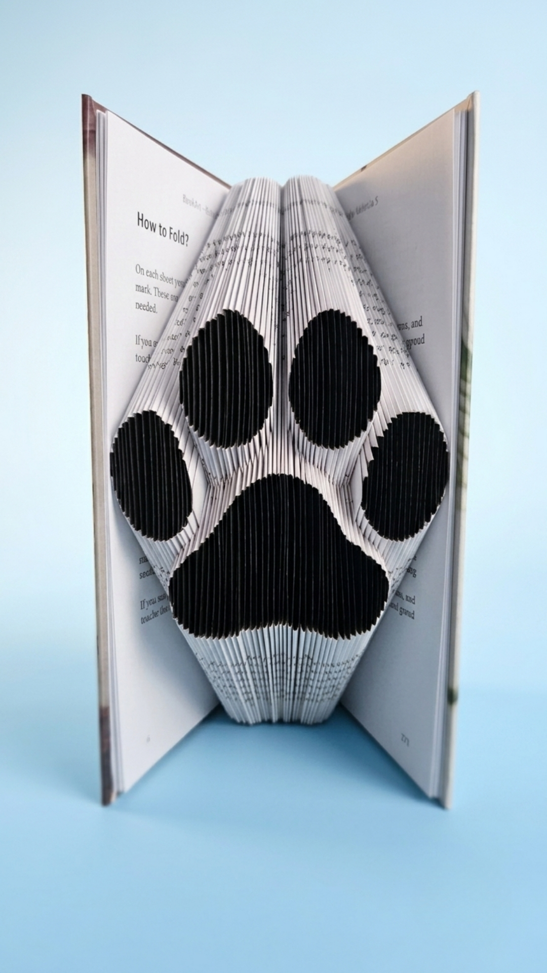 Black Paw BookArt