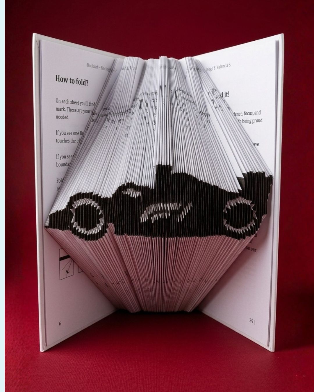 Racing Car BookArt